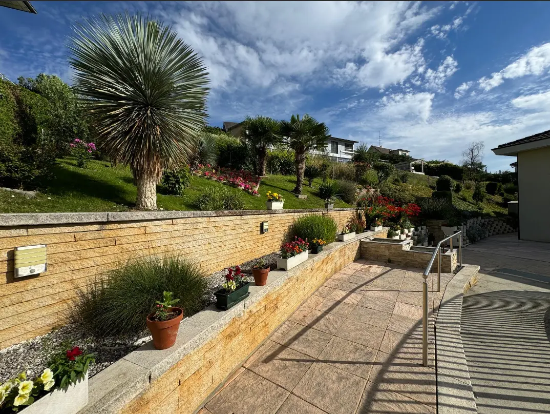 Foto: Terrasse und Palmen